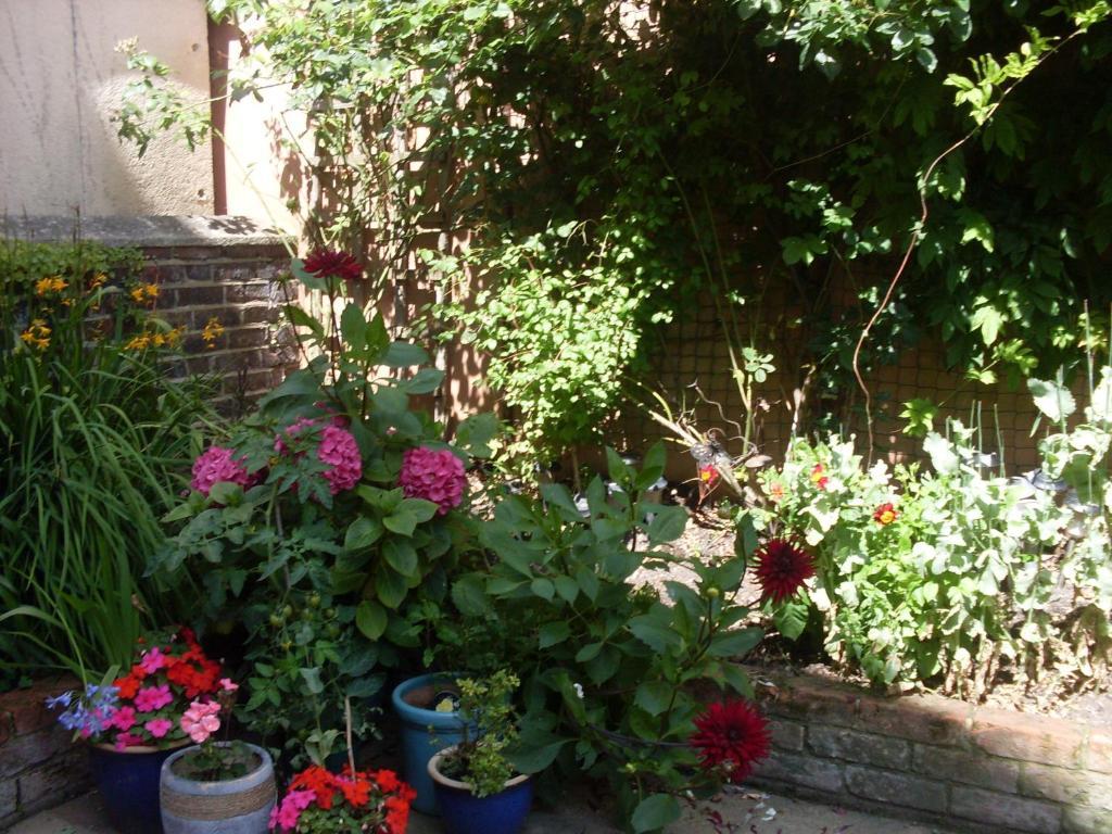 Cambridge House Guest House AEGON International Camera foto